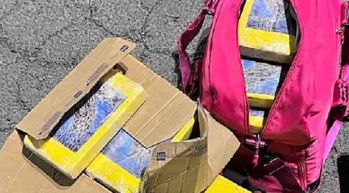 Dupla é presa com R$ 7 milhões em cocaína na BR-282, em Lages
