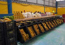 Assistência Social beneficiou mais de 200 famílias com Programa de Aquisição de Alimentos
