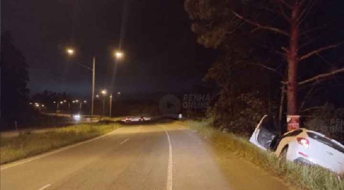 Motorista perde o controle do carro na Transbeto e bate em árvore
