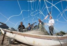 Meio ambiente: sistema de esgoto traz benefícios para a pesca artesanal