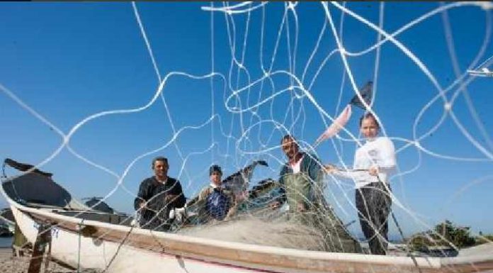 Meio ambiente: sistema de esgoto traz benefícios para a pesca artesanal