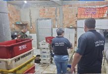 Depósito de pescados em Penha é interditado por descumprir código sanitário, ambiental e tributário