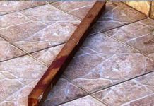 Mulher é agredida a socos e pauladas pelo companheiro em Blumenau