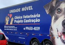 Barra Velha realiza mutirão de castração e atende mais de 100 cães e gatos