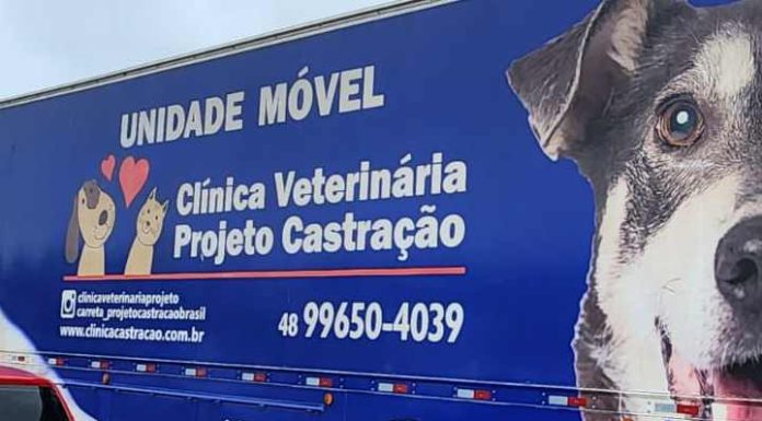 Barra Velha realiza mutirão de castração e atende mais de 100 cães e gatos