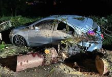 Carro é esmagado após árvore cair durante ventos fortes em SC