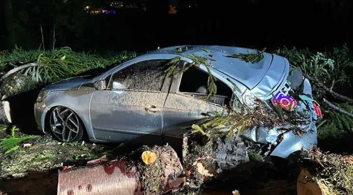 Carro é esmagado após árvore cair durante ventos fortes em SC
