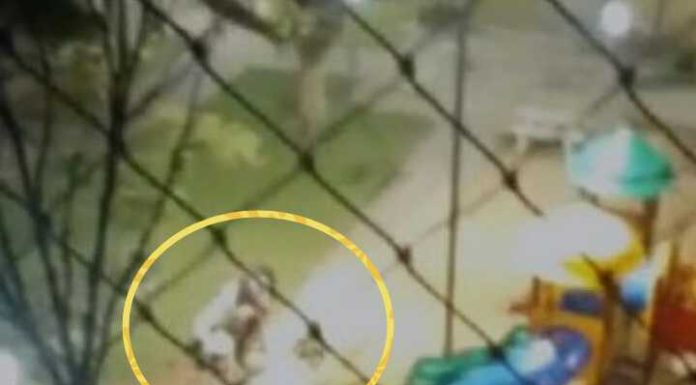 Casal flagrado fazendo sexo em praça vira alvo da polícia