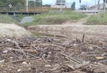 Lixo acumulado faz praia de Piçarras parecer aterro sanitário