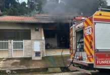 Homem prende seis gatos da ex-companheira e ateia fogo na casa, em Canelinha