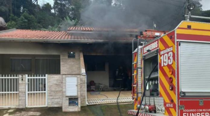 Homem prende seis gatos da ex-companheira e ateia fogo na casa, em Canelinha