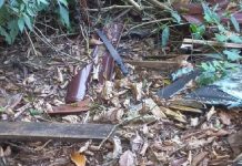 Homem é morto com tiro no peito em Itapema