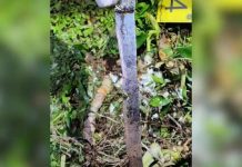 Mulher é morta esfaqueada na frente da filha e vizinho suspeito é preso em SC