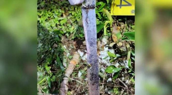 Mulher é morta esfaqueada na frente da filha e vizinho suspeito é preso em SC