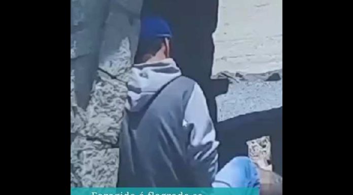 Foragido é capturado se masturbando e usando drogas na ponte de Itapema