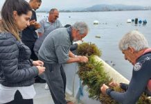 Maricultores e pescadores de Penha aprendem técnicas de cultivo de macroalga
