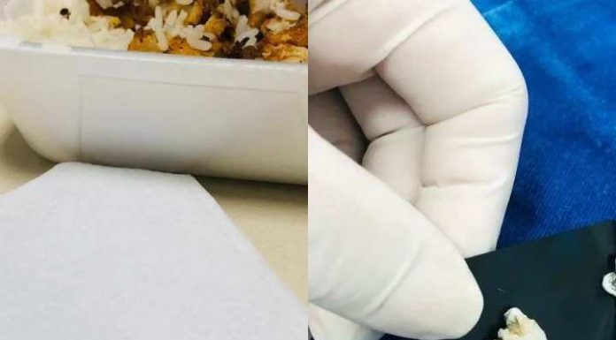 Servidora da Saúde mastiga comida da marmita e encontra dente de bicho não identificado