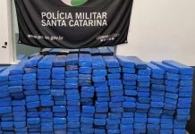 Motorista de carro que levava 156 kg de maconha é preso após colisão em Florianópolis