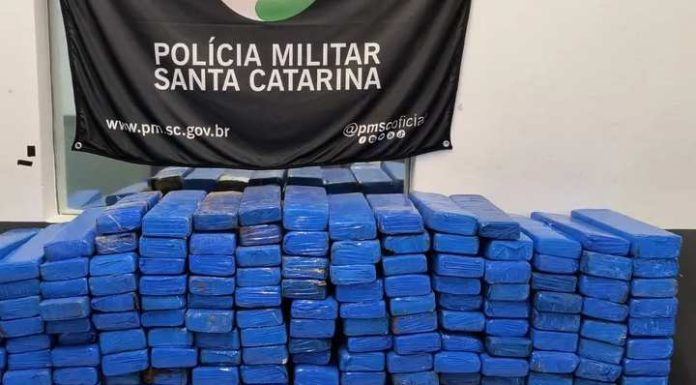 Motorista de carro que levava 156 kg de maconha é preso após colisão em Florianópolis
