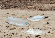 Plástico no oceano prejudica o meio ambiente a afeta a alimentação dos animais