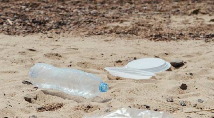 Plástico no oceano prejudica o meio ambiente a afeta a alimentação dos animais