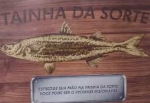 Lotérica lança ‘tainha da sorte’ para Mega da Virada após cliente faturar R$ 11 milhões em SC: ‘Esfregue sua mão’