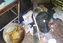 Sem higiene, “fábrica” clandestina de churros é flagrada no mangue da Lagoa do Quinca Ludo