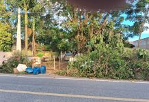 Morador de Penha reclama de amontoado de galhos deixados em frente à sua casa
