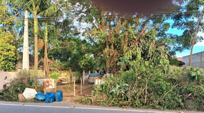 Morador de Penha reclama de amontoado de galhos deixados em frente à sua casa