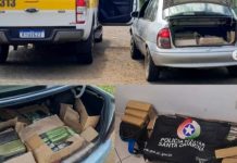 Mais de 100 quilos de maconha são apreendidos em rodovia estadual de SC