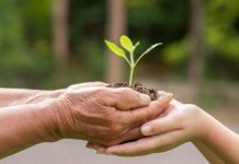Inscrições abertas para eleição do Conselho Municipal do Meio Ambiente de Penha