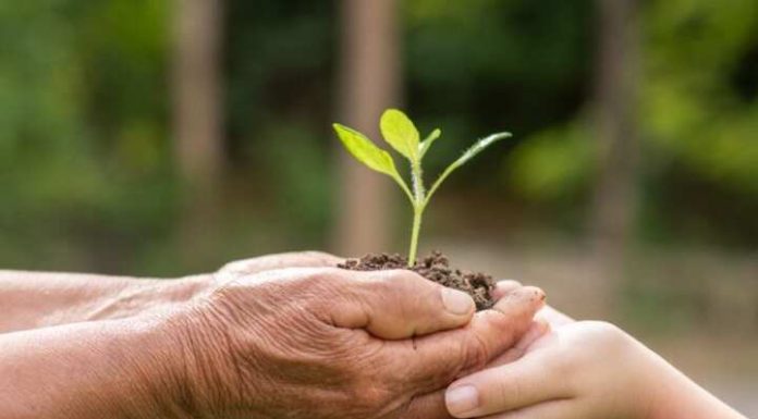 Inscrições abertas para eleição do Conselho Municipal do Meio Ambiente de Penha