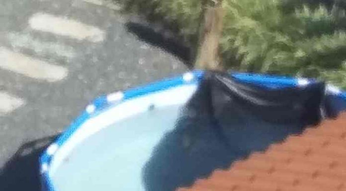 Morador de Penha denuncia exposição de água parada em piscina residencial