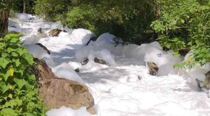 Ácido sulfônico: entenda o que é e os perigos do produto químico que caiu em rio de Joinville