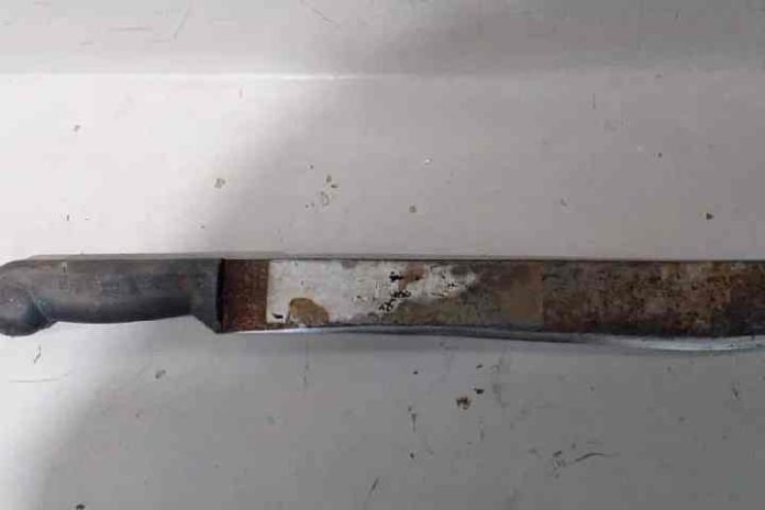 Novo Projeto - 2024-02-05T100753.327