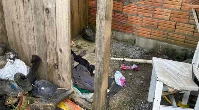 Argentinos relatam trabalho análogo à escravidão em colheita da maçã em SC