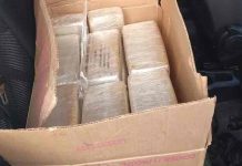 Jovem de 20 anos é preso com R$ 7 milhões em cocaína em SC