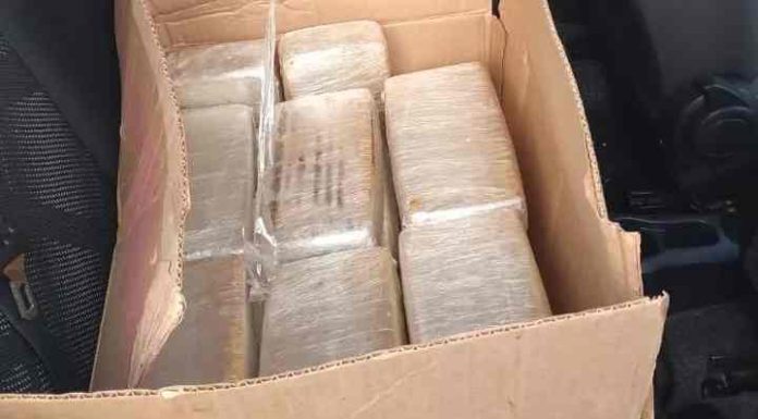 Jovem de 20 anos é preso com R$ 7 milhões em cocaína em SC