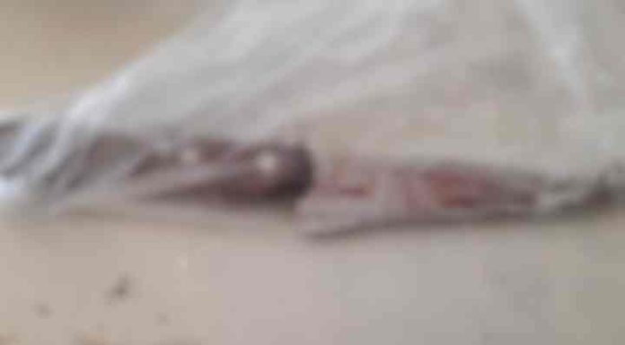 Filho salva mãe de ser morta a facadas pelo pai