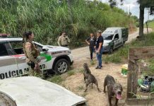 Cães são resgatados em Tijucas no meio de comida podre