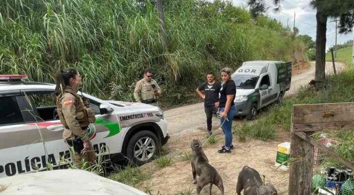 Cães são resgatados em Tijucas no meio de comida podre