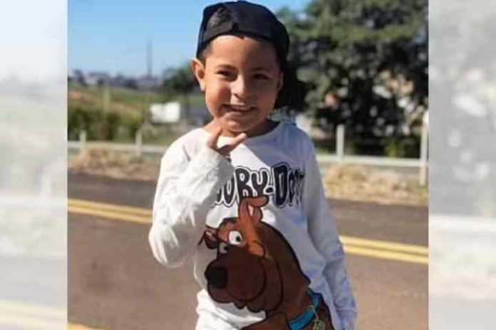 Novo Projeto - 2024-02-13T195759.772