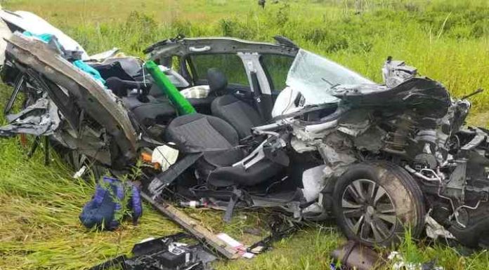 Mãe e filha de 4 anos morrem após carro sair de pista e capotar na BR-101 em SC