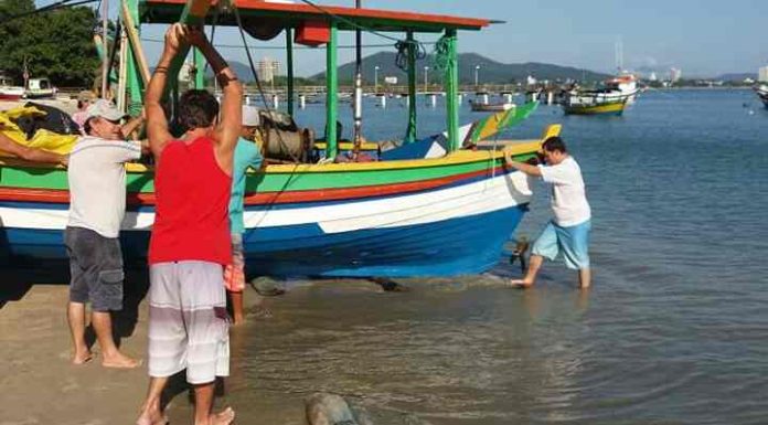 Pesca da corvina, atum e espada é tema de audiência pública em Penha