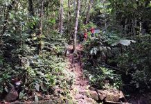 Mulher morre afogada na Cachoeira do São Paulinho em Itapema