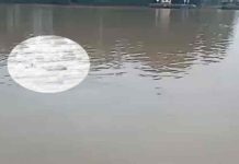 Corpo aparece boiando no Rio Itajaí açu na manhã desta quarta-feira (20)