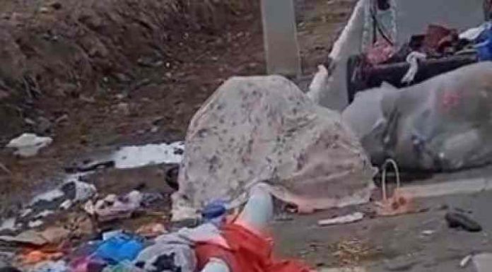 Moradores de rua são flagrados fazendo sexo em plena luz do dia