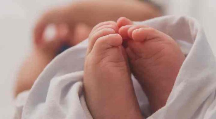 Bebê de 1 mês e 29 dias é a vítima da dengue mais jovem da história de SC