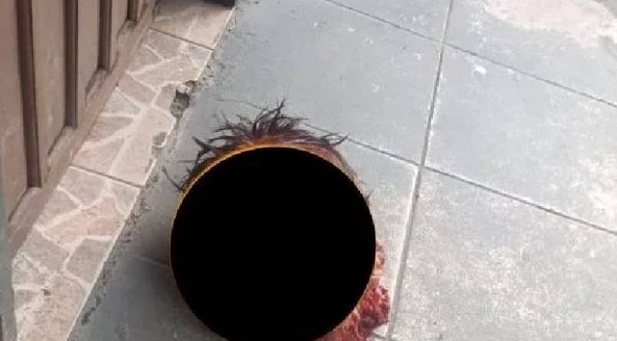 MACABRO Cabeça de rapaz é arrancada e jogada em pátio de transportadora de Araquari