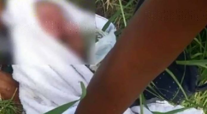 Bebê é encontrada em matagal e pais embriagados acabam na delegacia
